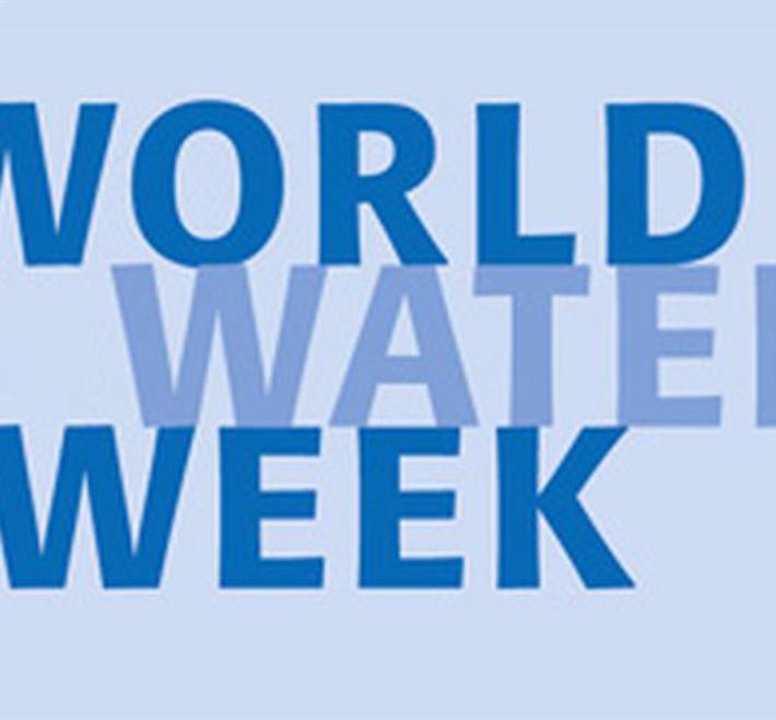 World Water Week