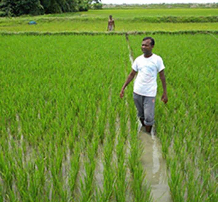 bangladesh-helping-farmers-cope-with-natural-disaster-solidarit-s
