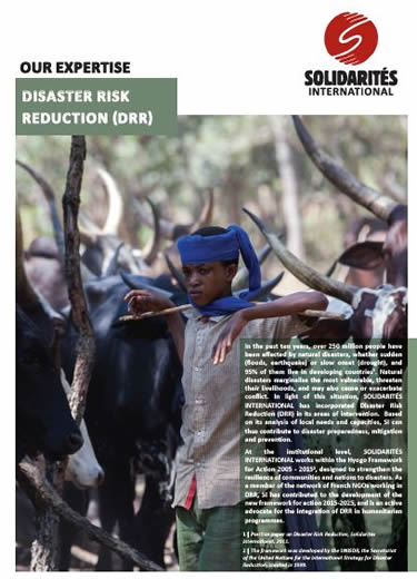 Disaster Risk Reduction (DRR) 2015