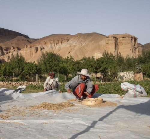 afghanistan-agriculteurs-programme