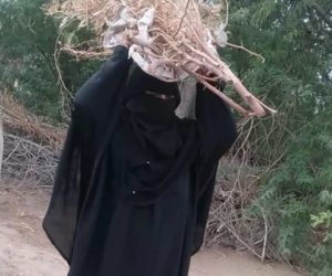 Yemenite woman who has to financial help resource