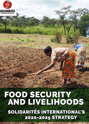food security and livelihoods strategy